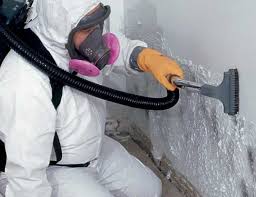 Best Forensic Mold Investigation  in Pepper Pike, OH